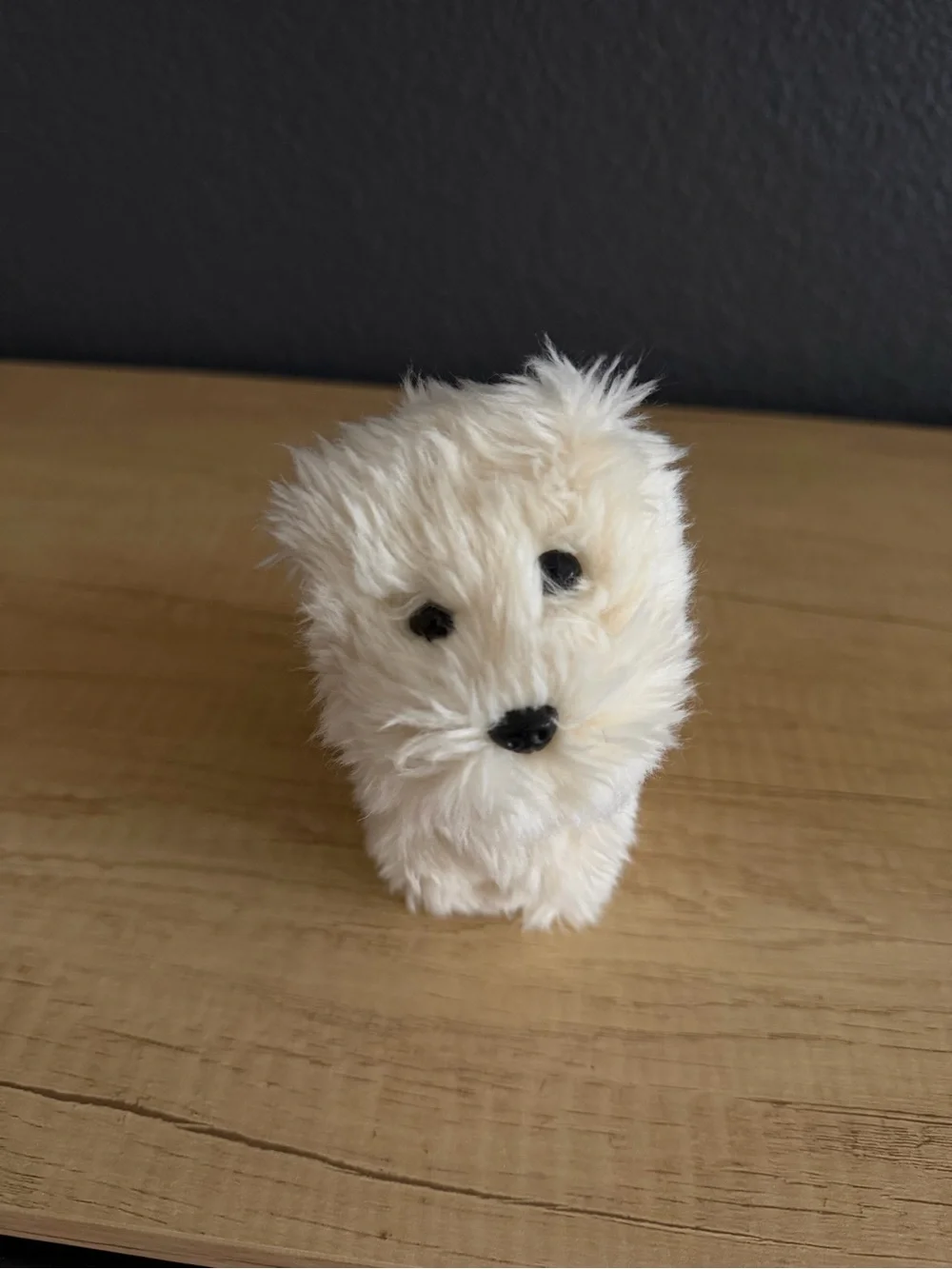 American Girl Doll Coconut the Dog